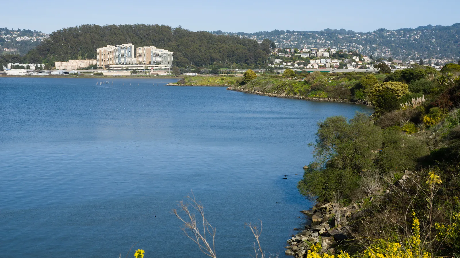 Albany Hill and the waterfront viewed from Albany Bulb