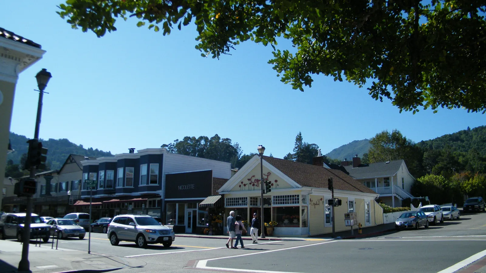 Downtown Larkspur