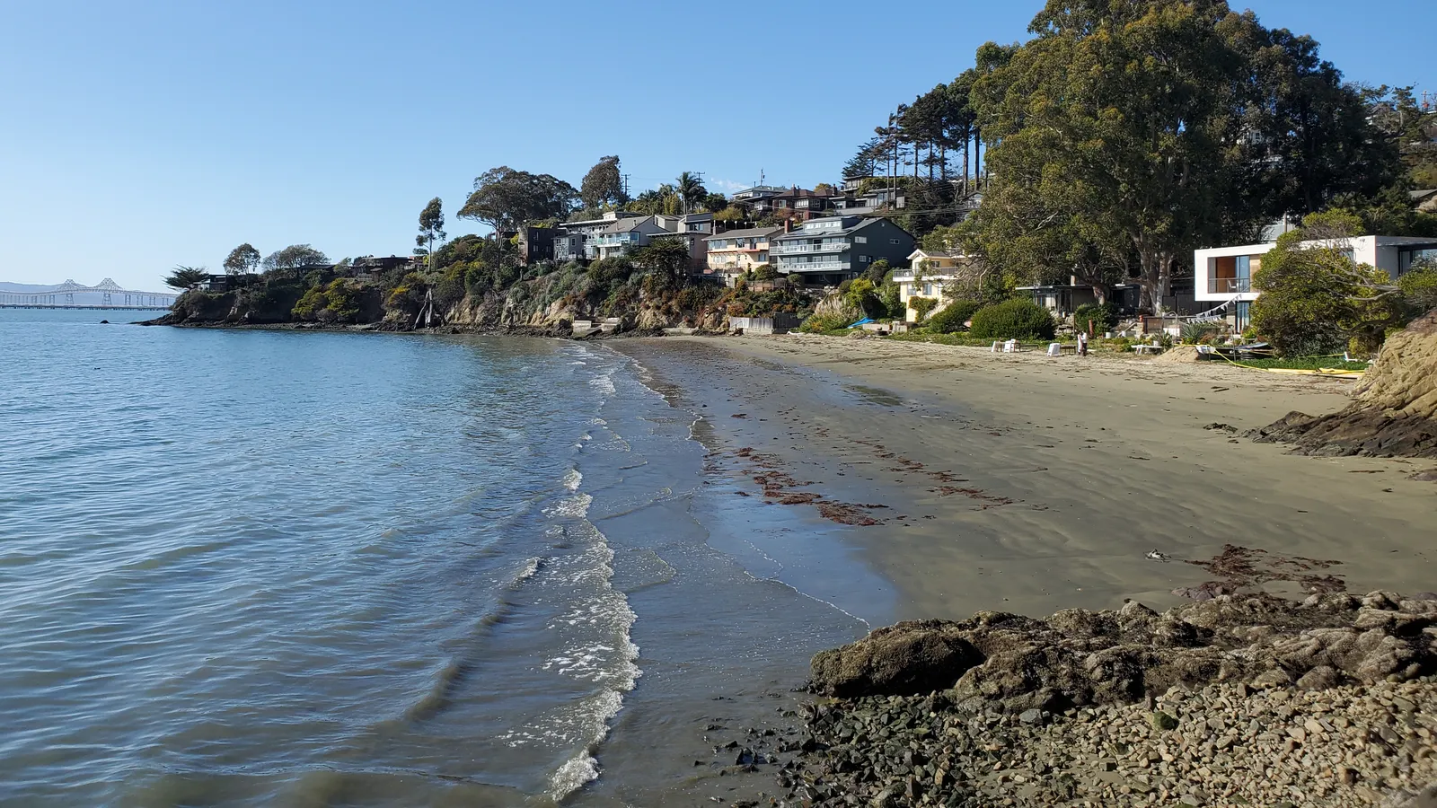 A curving beach below waterfront homes and trees at Cypress Point in Point Richmond